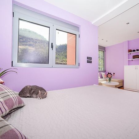 Apartments Princess View Sveti Stefan Exteriér fotografie